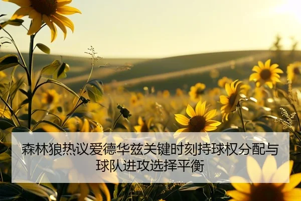 森林狼热议爱德华兹关键时刻持球权分配与球队进攻选择平衡
